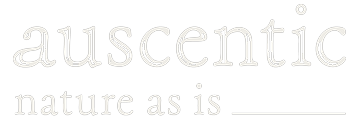 auscentic